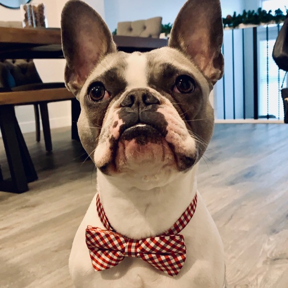 Meet your Posher, Shauna - Picture 1 of 1